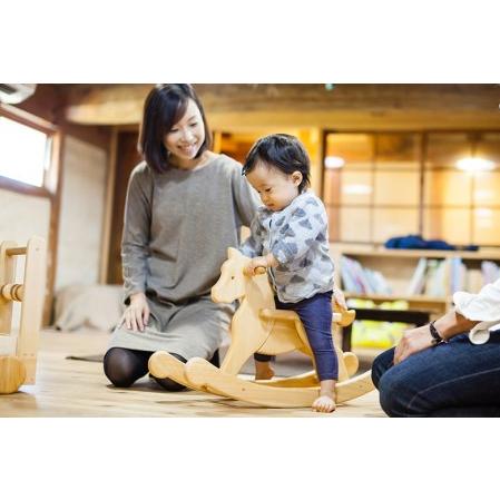 ふるさと納税 おもちゃ ハイヨーもくば 山のくじら舎 名入れ可能  おもちゃ 高知県安芸市_2