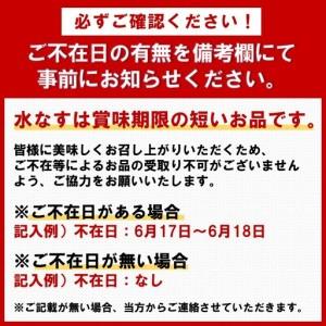 ふるさと納税 2ヶ月定期便 本場泉州の煎り糠・調味液水なす漬け各3個セット（6個×2ヶ月）【016D-008】 大阪府泉南市_1