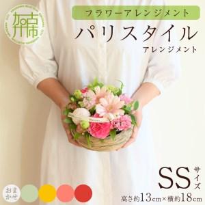ふるさと納税 パリスタイルアレンジメント(SSサイズ) 兵庫県加古川市