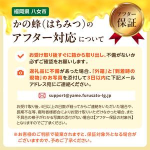 ふるさと納税 かの蜂 マヌカハニー 540g（270g×2本）マヌカ はちみつ ※エコパックはちみつ90g付き 024-082 福岡県八女市の画像