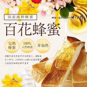 ふるさと納税 かの蜂 国産 百花蜂蜜 2kg（とんがり容器500g×4本） 024-083 福岡県八女市の画像