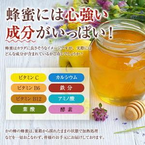 ふるさと納税 かの蜂 国産 百花蜂蜜 2kg（とんがり容器500g×4本） 024-083 福岡県八女市の画像