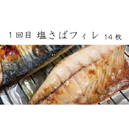 ふるさと納税 【3回定期便】おさかな定期便 サバ ウナギ サケ【tkb131】 和歌山県古座川町の画像