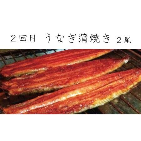ふるさと納税 【全3回定期便】和歌山からお届け おさかな定期便 サバ・ウナギ・サケ【tkb131】 和歌山県太地町の画像