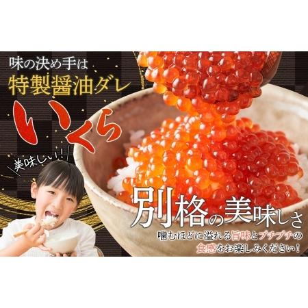 ふるさと納税 2497. 無地熨斗 ウニ チリ産 冷凍 いくら 二色丼 ふるさと納税 2497. 無地熨斗 ウニ チリ産 冷凍 いくら 二色丼