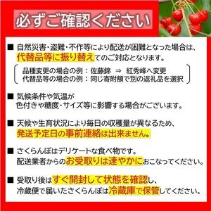 ふるさと納税 【令和8年産先行予約】 《定期便10回》 旬のフルーツいろいろ定期便 『フードシステムズ』 山形県 南陽市 [1144-R8] 山形県南陽市_1