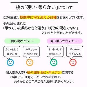 ふるさと納税 【令和8年産先行予約】 《定期便10回》 旬のフルーツいろいろ定期便 『フードシステムズ』 山形県 南陽市 [1144-R8] 山形県南陽市_2