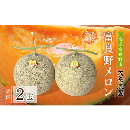 ふるさと納税 [2026年7月中旬〜発送]ふらのメロン 赤肉 2玉 計3.2kg以上 北海道 富良野市 (大島農園) 北海道富良野市