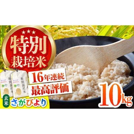 ふるさと納税 令和7年産 特別栽培米 さがびより 玄米 10kg [HAG018]特A