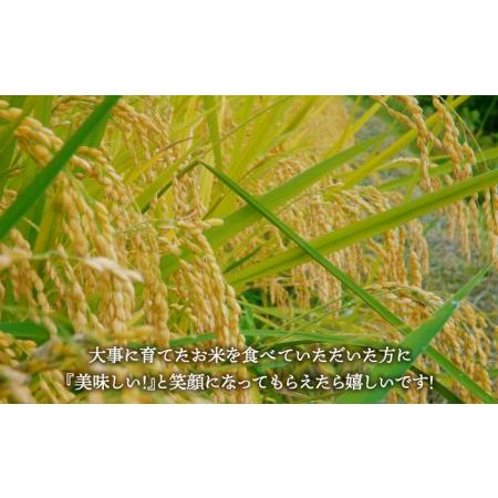 ふるさと納税 【無洗米 食べ比べ】令和5年産 新米 さがびより 夢しずく 計4kg ( 2kg×2種 )【五つ星お米マイスター厳選】真空 真空パック 特.. 佐賀県江北町｜furunavi｜05