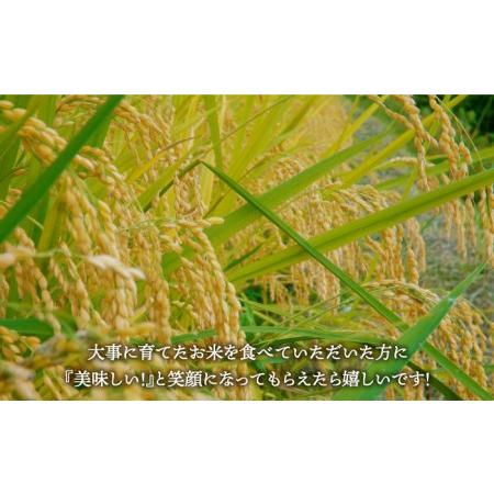 ふるさと納税 【14年連続 特A受賞】令和5年産 新米 さがびより 白米 10kg（5kg×2袋）【五つ星お米マイスター厳選】特A評価 特A 特A米 米 お.. 佐賀県江北町｜furunavi｜05