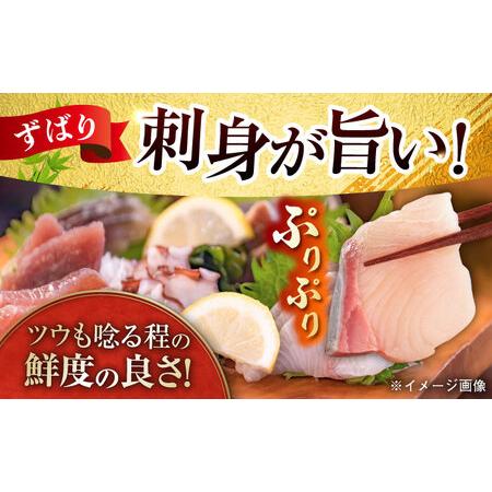 ふるさと納税 【五島列島・直送】朝獲れ!高級鮮魚セット4kg ふるさと納税 【五島列島・直送】朝獲れ!高級鮮魚セット4kg