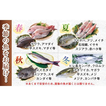ふるさと納税 【五島列島・直送】朝獲れ!高級鮮魚セット4kg ふるさと納税 【五島列島・直送】朝獲れ!高級鮮魚セット4kg