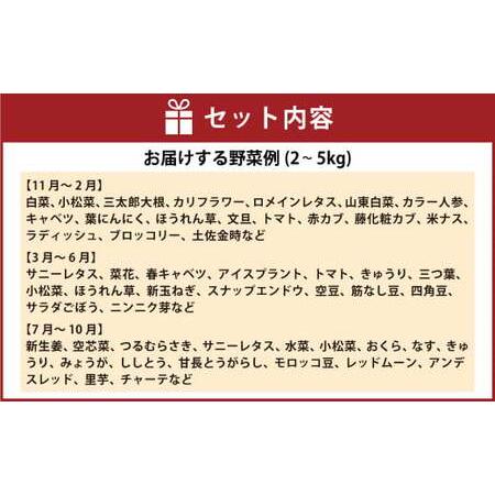 ふるさと納税 旬の朝採れ土佐野菜詰め合わせ（10〜13品目）詰め合わせ 野菜セット 野菜 ギフト やさいセット お取り寄せグルメ 家庭用 旬野菜 新.. 高知県香美市_1