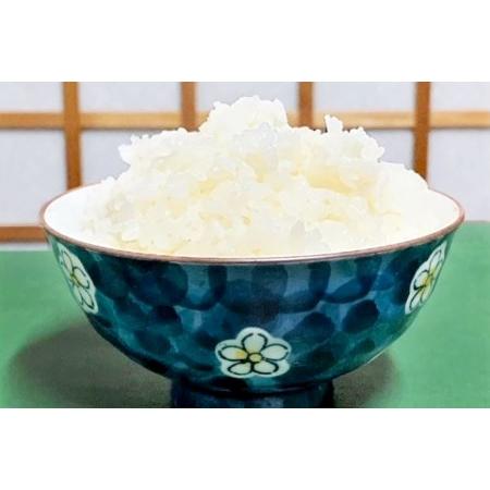 ふるさと納税 米 令和7年 無洗米 長野県産 コシヒカリ 10kg [大北農業協同組合 長野県 池田町 48110829] 長野県池田町_1