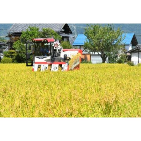 ふるさと納税 米 令和7年 無洗米 長野県産 コシヒカリ 10kg [大北農業協同組合 長野県 池田町 48110829] 長野県池田町_3
