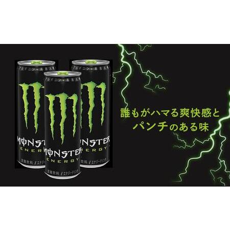 ふるさと納税 モンスターエナジー 355ml×24本【2ケース】 計48本