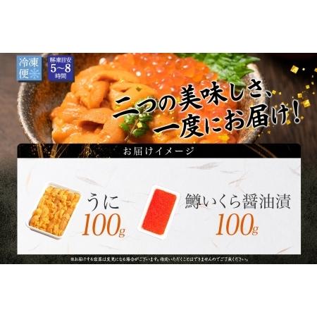 ふるさと納税 3618. うに チリ産 冷凍 100g 鱒いくら醤油漬け 100g セット ウニ 雲丹 チリ産 ますいくら 鱒 マス イクラ いくら いくら醤油漬.. 北海道弟子屈町の画像