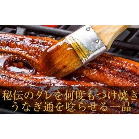 ふるさと納税 国産うなぎ 合計250g(約125g×2尾)秘伝のたれ 蒲焼 鰻 ウナギ 有頭 炭火焼き 備長炭 手焼き 大阪府泉佐野市|furunavi|03