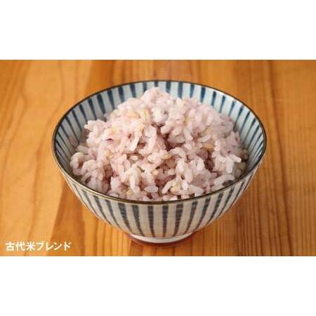 むぎ ふるさと納税 熊本県 菊池産 もち麦入り雑穀米 贅沢ブレンド 計3.6kg