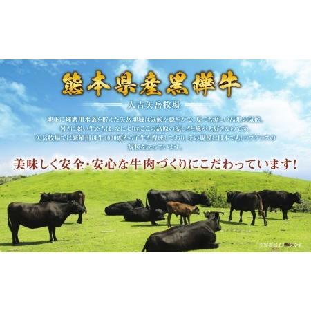 ふるさと納税 くまもと黒毛和牛 杉本本店 黒樺牛 A4~A5等級 焼肉用カルビ 300g 熊本県水俣市|furunavi|04