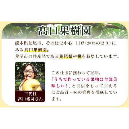 ふるさと納税 【2026年 先行予約】六月のはなよめ 約1.8〜2kg 熊本県荒尾市産 桃 高口果樹園 【日付指定不可】《2026年6月上旬-6月下旬頃出荷》.. 熊本県荒尾市の画像