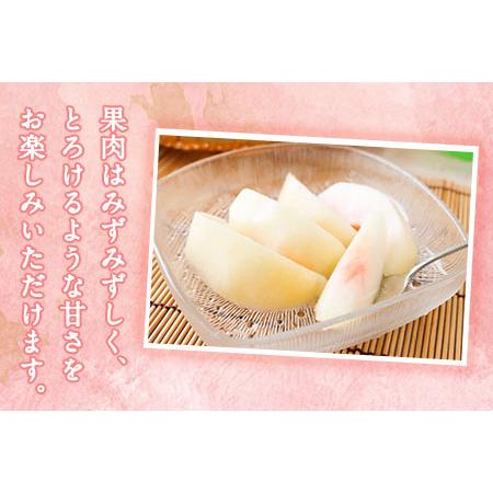 ふるさと納税 【2026年 先行予約】六月のはなよめ 約1.8〜2kg 熊本県荒尾市産 桃 高口果樹園 【日付指定不可】《2026年6月上旬-6月下旬頃出荷》.. 熊本県荒尾市の画像