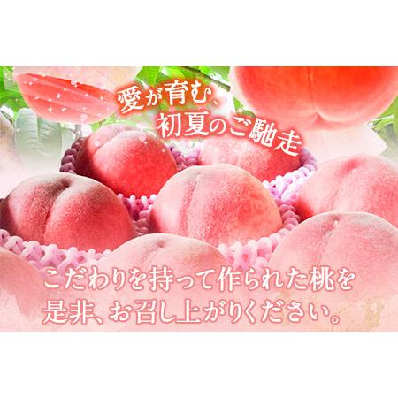 ふるさと納税 【2026年 先行予約】六月のはなよめ 約1.8〜2kg 熊本県荒尾市産 桃 高口果樹園 【日付指定不可】《2026年6月上旬-6月下旬頃出荷》.. 熊本県荒尾市の画像