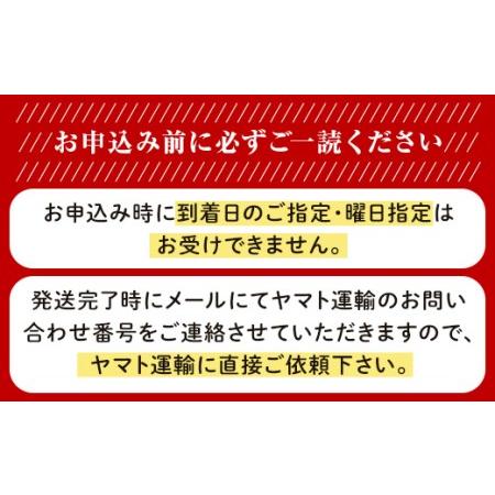 ふるさと納税 岡山県産冬ぶどう「紫苑」1房（約800g）化粧箱入【2024年11月以降発送】（いばら愛菜館） 岡山県井原市 約800g