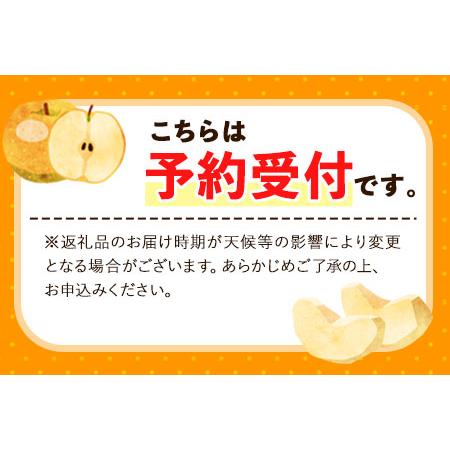 ふるさと納税 【先行予約】愛宕梨 約3.5〜4kg(3〜6玉前後) 期間限定 なし フルーツ 果物 新鮮 常温便《11月下旬-12月末頃出荷》熊本県 荒尾市産 .. 熊本県荒尾市_1