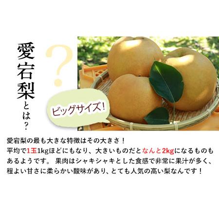 ふるさと納税 【先行予約】愛宕梨 約3.5〜4kg(3〜6玉前後) 期間限定 なし フルーツ 果物 新鮮 常温便《11月下旬-12月末頃出荷》熊本県 荒尾市産 .. 熊本県荒尾市_2