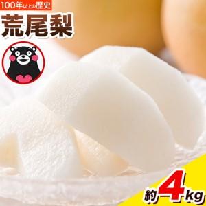 ふるさと納税 梨 荒尾梨 約4kg フルーツ 果物 熊本県荒尾市