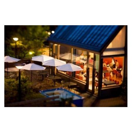ふるさと納税 ペットと泊まる宿 CARO FORESTA那須高原VOLPEスタンダードルーム宿泊券(大人1名様1泊2食付き） ｜ 宿泊 旅行 チケット 宿泊券 ド.. 栃木県那須町の画像