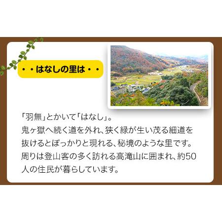 ふるさと納税 原木しいたけづくり体験チケット(昼食付) 1名様 岡山県矢掛町_1