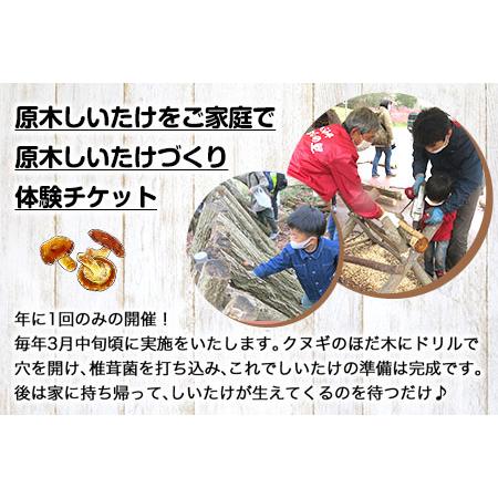 ふるさと納税 原木しいたけづくり体験チケット(昼食付) 1名様 岡山県矢掛町_2
