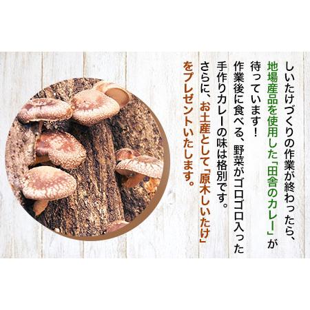 ふるさと納税 原木しいたけづくり体験チケット(昼食付) 1名様 岡山県矢掛町_3