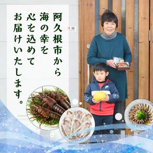 お値打ち品 ふるさと納税 海藻「とさかのり」(50g×8袋)国産 鹿児島県産 海藻 おかず 料理 小分け 個包装 乾物【福美丸水産】a-12-133 鹿児島県阿久根市