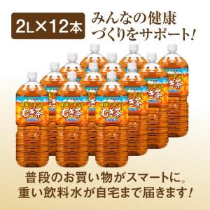 ふるさと納税 『定期便：全6回』健康ミネラル麦茶2L×6本×2箱 北海道恵庭市