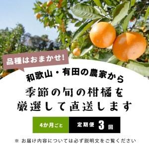 大割引 ふるさと納税 定期便 4か月ごと 全3回 厳選 和歌山の季節の柑橘3kg農家直送フルーツ定期便 有田 みかん 蜜柑 オレンジ 八朔 せとか ポン 和歌山県美浜町 Rmladv Com Br