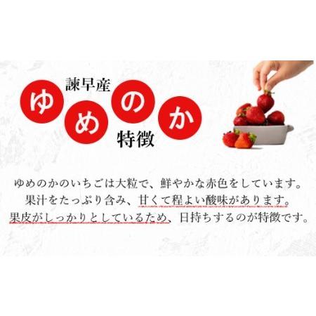 ふるさと納税 【先行受付】みんなの夢が叶うおいしいイチゴ(ゆめのか) 8パック 長崎県諫早市|furunavi|02