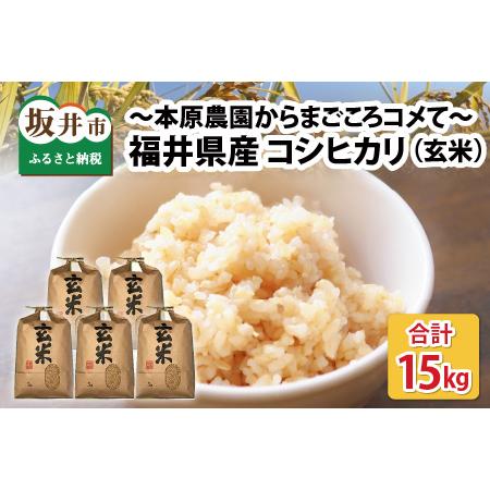 ふるさと納税 [令和5年産][玄米3kg×5袋]福井県産 コシヒカリ15kg 〜本原農園からまごころコメて〜 [A-8981_02] 福井県坂井市