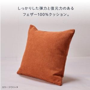 ふるさと納税　blocco　フェザー100％　クッション（40cm×40cm）　ブラック　北海道石狩市　25-011