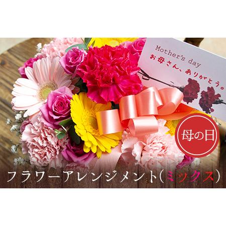 ふるさと納税 母の日 花 ギフト 母の日 フラワーアレンジメント (ミックス) [北海道・沖縄・その他離島 配送不可][2026年5月上旬-5月末頃出.. 熊本県荒尾市