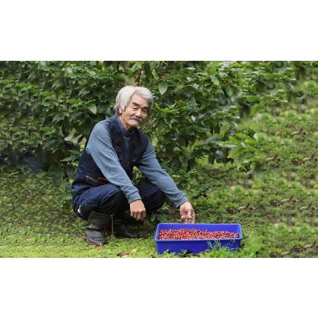 ふるさと納税 奄美産100％珈琲　Pure Amami/Amami Island Coffee 鹿児島県龍郷町 8cm