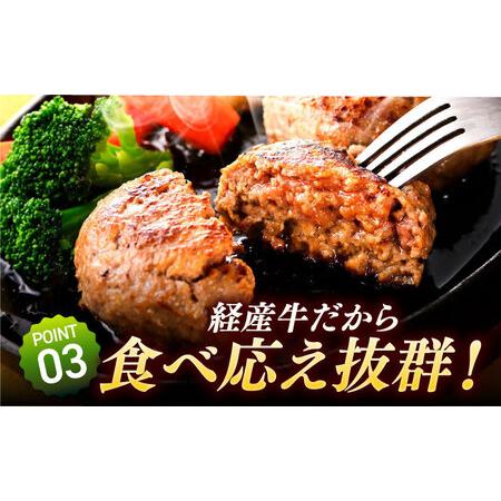 ふるさと納税 【3回定期便】自家製ハンバーグ8個  人気商品が3回届く！/ ハンバーグ [IAX011] 佐賀県白石町_3