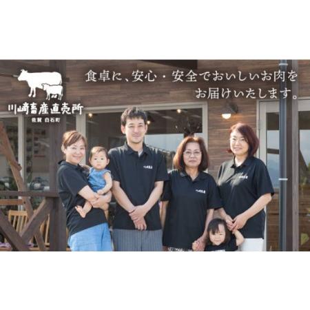 ふるさと納税 【全6回定期便】牧場直営店の手作りハンバーグ（140g×8個）【川崎畜産】[IAX012] 佐賀県白石町｜furunavi｜03