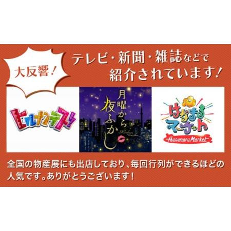 【最終値下げ】 ふるさと納税 『定期便』_＜ニッポン全国おやつランキング　グランプリ受賞＞長崎石畳ショコラ　ハーフサイズ2個_全4回 長崎県諫早市 【XUR7383540345】(26000円)