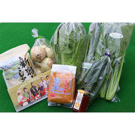 ふるさと納税 特選しばもん野菜セット [ 野菜 セット 通年 季節 旬 お楽しみ C16_01 ] 新潟県新発田市