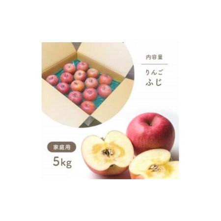 ふるさと納税 【2026年先行予約】ザ・王道 りんご サンふじ 家庭用 約5kg 訳あり |りんご 長野県千曲市_1