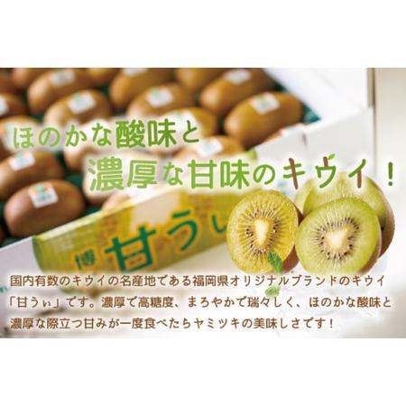 ふるさと納税 キウイ 甘うぃ 約1.5kg [um40azo970032] キウイ 福岡県宇美町_1